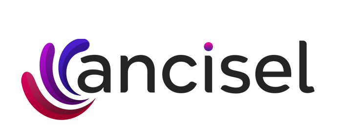 Logo Ancisel